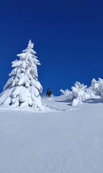 Bergdoktor Holiday home